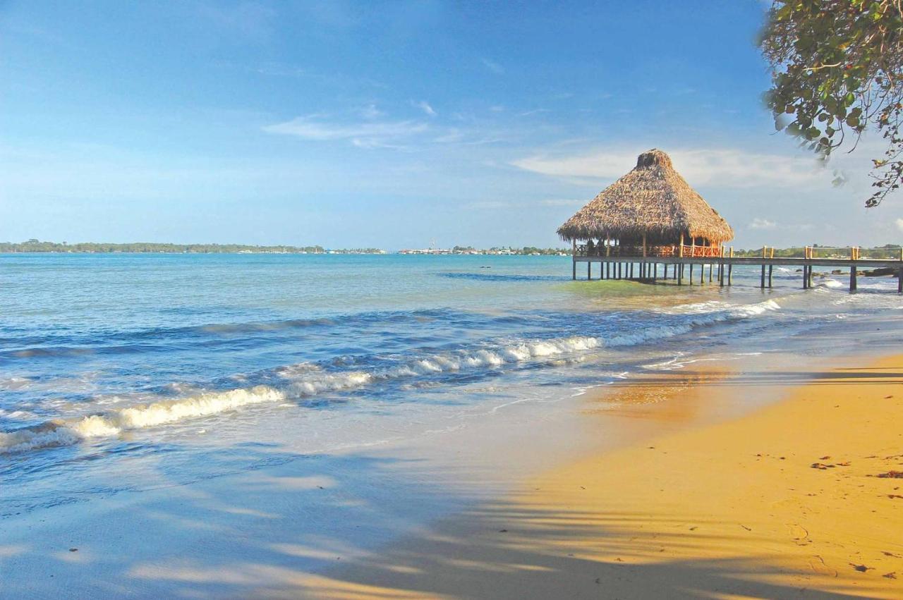 Playa Tortuga Hotel And Beach Resort Бокас-дель-Торо Удобства фото